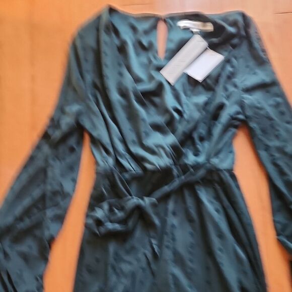 Allison & Kelly Green Plunge Bishop Long Sleeve Dress - Size Women's Large - Picture 5 of 5